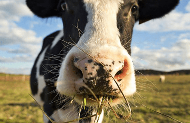 The Future of Farming_audio_thumbnail-min