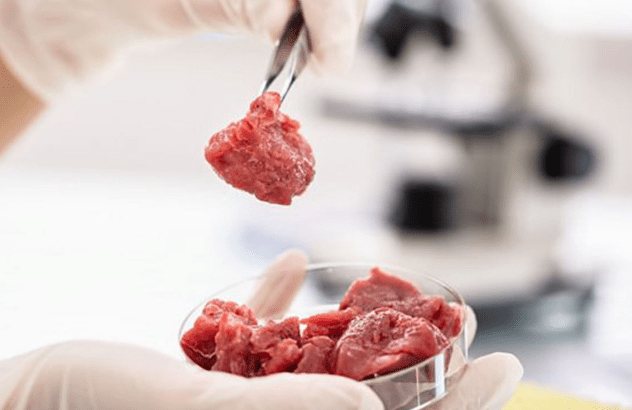The Future of Food_audio_thumbnail-min